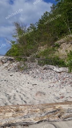 Treibholz und Steine am Strand