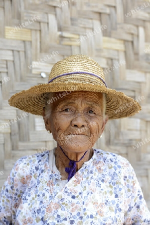 a old farmer women in the town of Nyaungshwe at the Inle Lake in the Shan State in the east of Myanmar in Southeastasia.