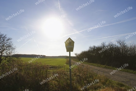 Landschaft mit Naturschutzschild der D?bener Heide, gegen die Sonne fotografiert.