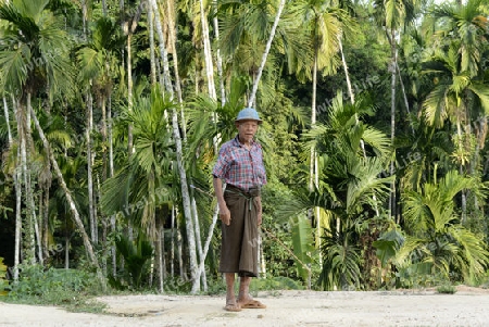 a farmer in a village near the city of Myeik in the south in Myanmar in Southeastasia.
