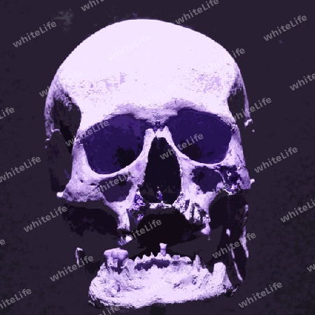 Skull 009