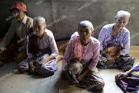 old women in a traditional dress at a shinpyu ceremony in a village neat the city of Myeik in the south in Myanmar in Southeastasia.