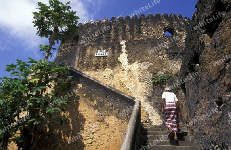Die Altstadt von Stone Town  oder Zanzibar Town der Hauptstadt der Insel Sansibar im Indischen Ozean in Tansania in Ostafrika.