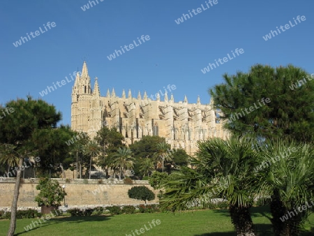 Park vor der Kathedrale in  Palma de Mallorca
