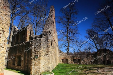 Ruine Hornstein 6