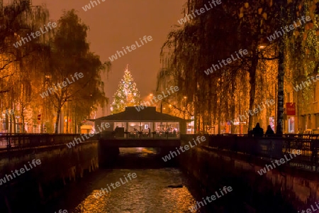 Fluss mit Weihnachtsbaum im Hintergrund