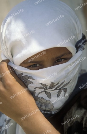 Afrika, Tunesien. Jerba
Eine Frau mit einem traditionellen Kopftuch auf der Insel Jerba im sueden von Tunesien. (URS FLUEELER)






