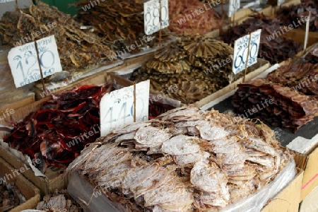 Fisch Markt