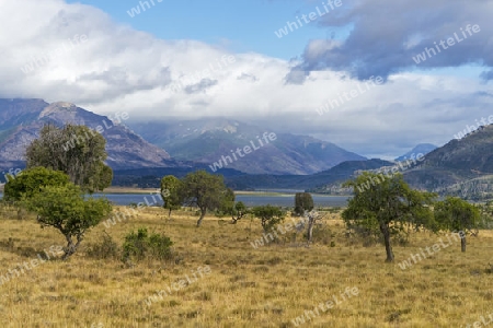 Patagonien, Nationalpark Los Alerces