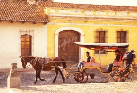 transport in the old town in the city of Antigua in Guatemala in central America.   