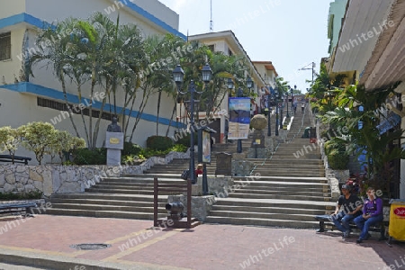 Treppe , Escalantina Diego Noboa,  im Bezirk Las Penas, zum Aufstieg auf den Cerro Santa Ana,  Guayaquil, Ecuador, Suedamerika