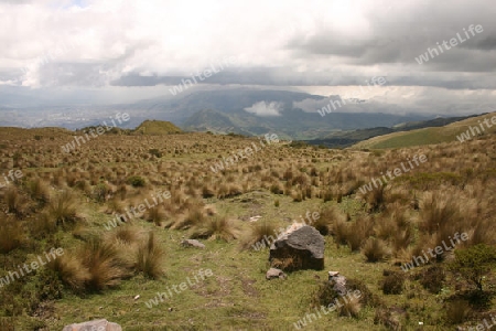 Hochplateau an den Haengen des Vulkans Pichincha, bei Quito, der Hauptstadt Equadors