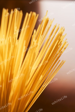 Spaghetti in golden light