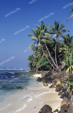 Asien, Indischer Ozean, Sri Lanka,
Ein Traumstrand beim Kuestendorf Hikkaduwa an der Suedwestkueste von Sri Lanka. (URS FLUEELER)






