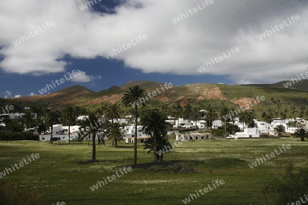 The volcanic Hills near the Village of Haria on the Island of Lanzarote on the Canary Islands of Spain in the Atlantic Ocean.
