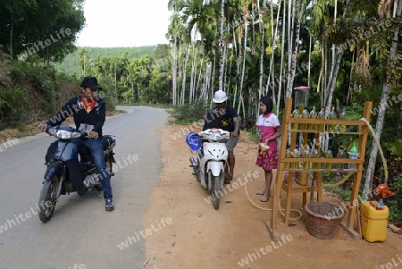 a petrol station in a village near the city of Myeik in the south in Myanmar in Southeastasia.