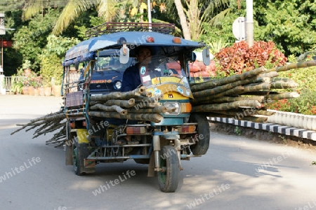 Bambustangentransport in Laos