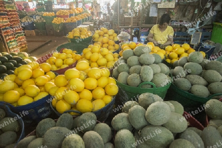 Melons in a Fruit market in a Market near the City of Yangon in Myanmar in Southeastasia.