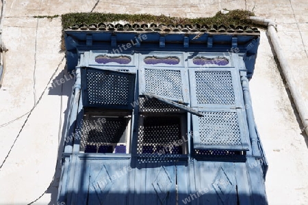 Ein Balkon in einer Gasse in der Altstadt von Sidi Bou Said noerdlich von Tunis im Norden von Tunesien in Nordafrika am Mittelmeer. 