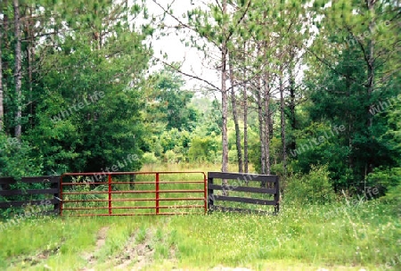 the gated wood