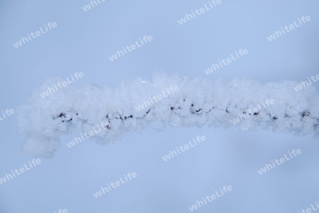 Frozen branch with ice crystals