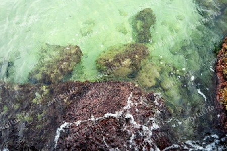 Felsen  im klaren Meerwasser