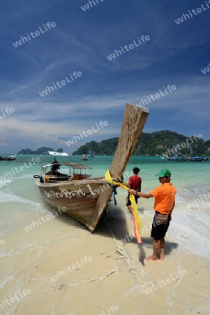A Beach on the Island of Ko PhiPhi on Ko Phi Phi Island outside of the City of Krabi on the Andaman Sea in the south of Thailand. 