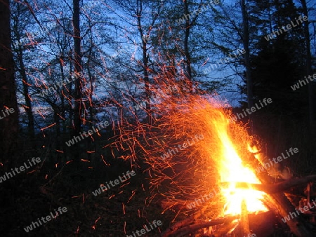 Feuer im Wald