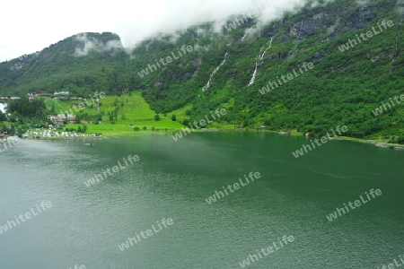 Grüne Fjordlandschaft, Norwegen