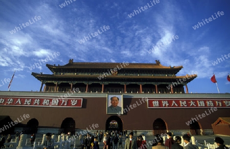 the forbidden city in the city of beijing in the east of china in east asia. 