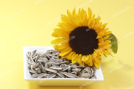 Sonnenblumenkerne auf gelbem Hintergrund