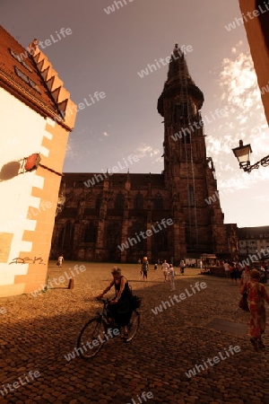  the muenster church in the old town of Freiburg im Breisgau in the Blackforest in the south of Germany in Europe.