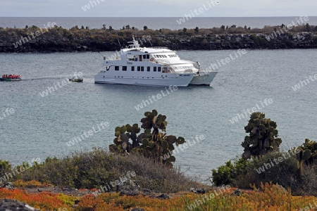 Kreuzfahrtschiff vor der  Insel Plaza Sur, Galapagos, Unesco Welterbe, Ecuador, Suedamerika, Pazifik