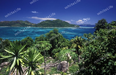 Die Landschaft bei Victoria auf der Insel Mahe der Inselgruppe Seychellen im Indischen Ozean in Afrika.