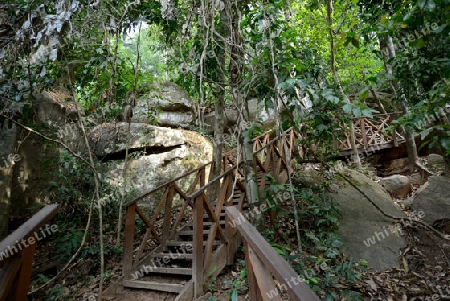 The Trail to the Tempel Ruin of  Kbal Spean 50 Km northeast of in the Temple City of Angkor near the City of Siem Riep in the west of Cambodia.