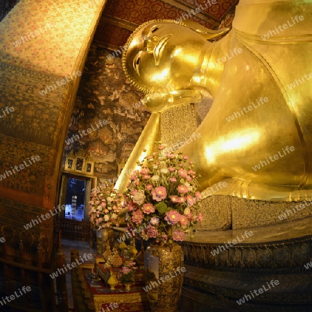 Der Liegende Buddha in der Tempelanlage des Wat Pho in der Hauptstadt Bangkok von Thailand in Suedostasien.