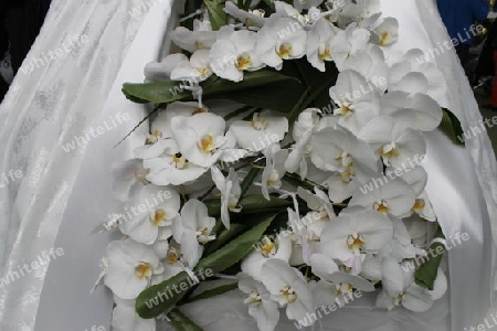 Orchideenbukett