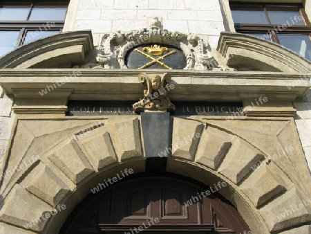 Collegium Iuridicum, Portal in Krakau