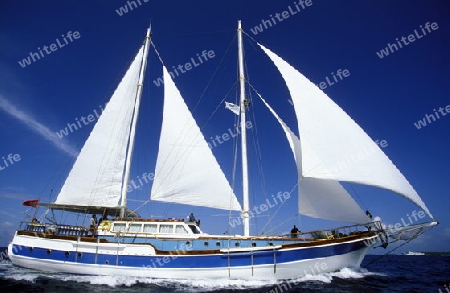 
Ein Segelschiff fuer Kreuzfahrten in der Inselwelt  im Northmale  Atoll auf den Inseln der Malediven im Indischen Ozean. 