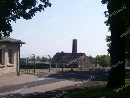 Buchenwald Lager