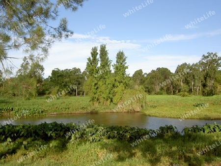 Bulimba Creek Park, Australia