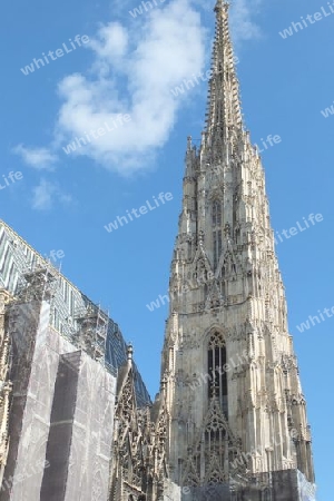 Stephansdom Glockenturm Wien