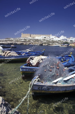 Afrika, Tunesien, MahdiaDer Fischerhafen mit der Burg Borj el Kebir in der Kuestenstadt Mahdia in Central Tunesien. 