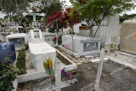 landestypischer Friedhof,  Insel Santa Cruz, Galapagos , Unesco Welterbe, Ecuador, Suedamerika
