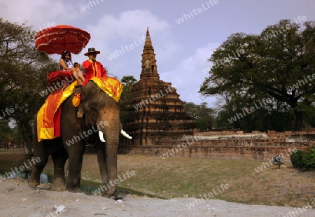 Ein Elephanten Taxi vor einem der vielen Tempel in der Tempelstadt Ayutthaya noerdlich von Bangkok in Thailand.  