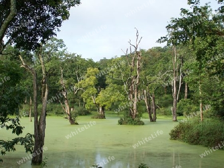 green lake