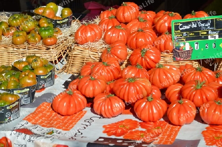 provencalische Tomaten