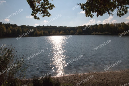 Sonne glitzert im See im Herbst - Sun twinkles in a lake in autumn