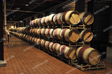 franz?sische Barrique F?sser aus Eichenholz im Reifekeller der Robert Mondavi Winery, Napa Valley, Kalifornien, USA