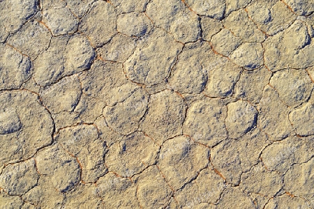  Lehmboden des Deadvlei, Dead Vlei am Morgen des   Namib Naukluft Nationalpark, Sossusvlei, Namibia, Afrika